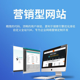 营销型网站建设 从流量到销量的转化引擎